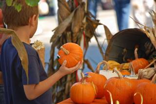 2024 Jefferson City Oktoberfest